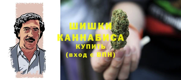 spice Верея