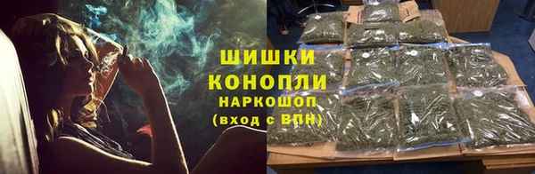 spice Верея