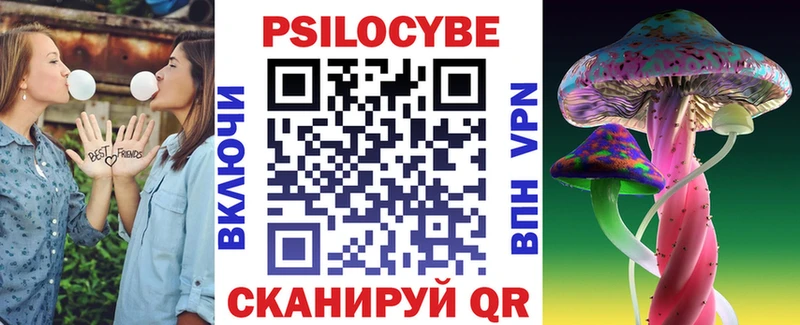 Псилоцибиновые грибы Cubensis  Озёрск 