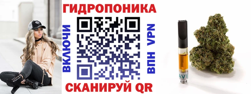 наркотики  omg как зайти  Шишки марихуана ГИДРОПОН  Озёрск 